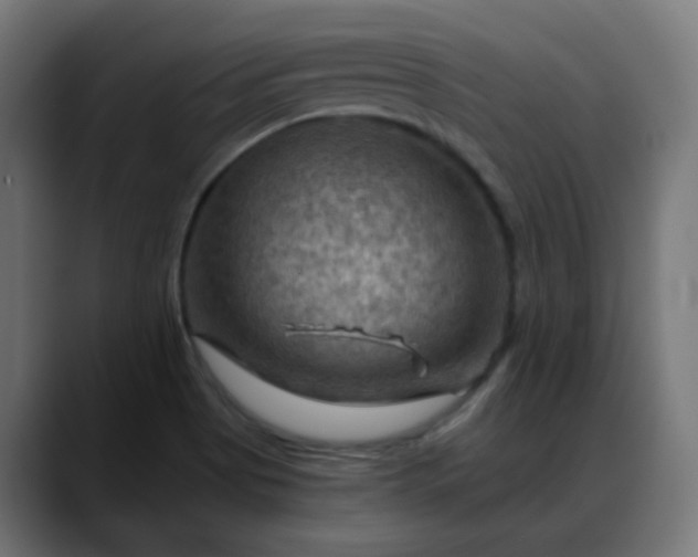 X0000088061513200705251332