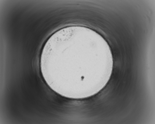 X0000088061514200705251332