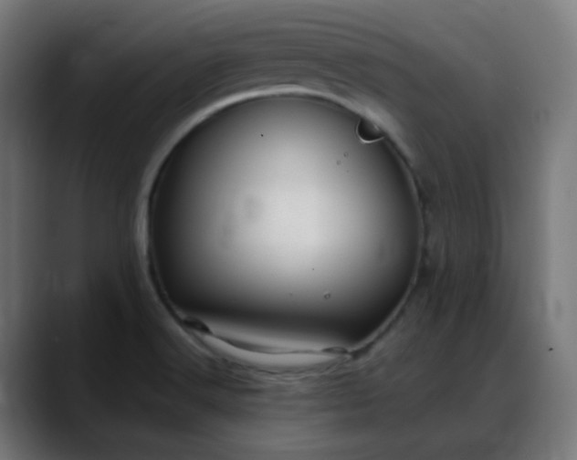 X0000088061516200705251332