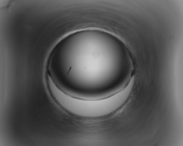 X0000088061518200705251332