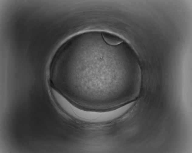 X0000088061519200705251332