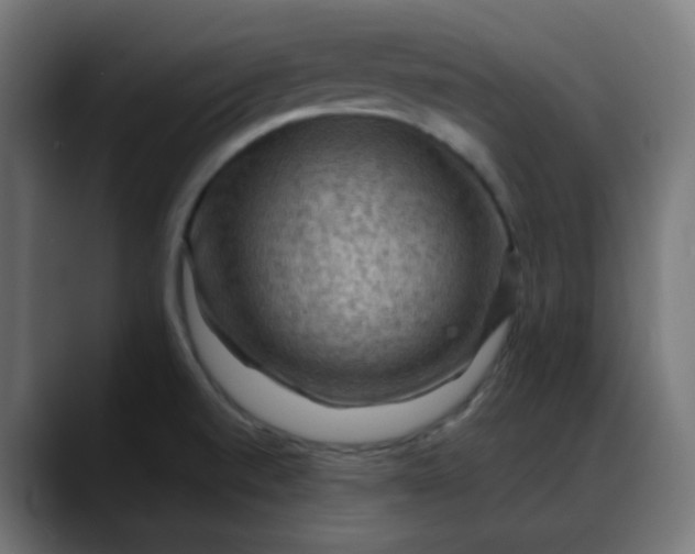 X0000088061520200705251332