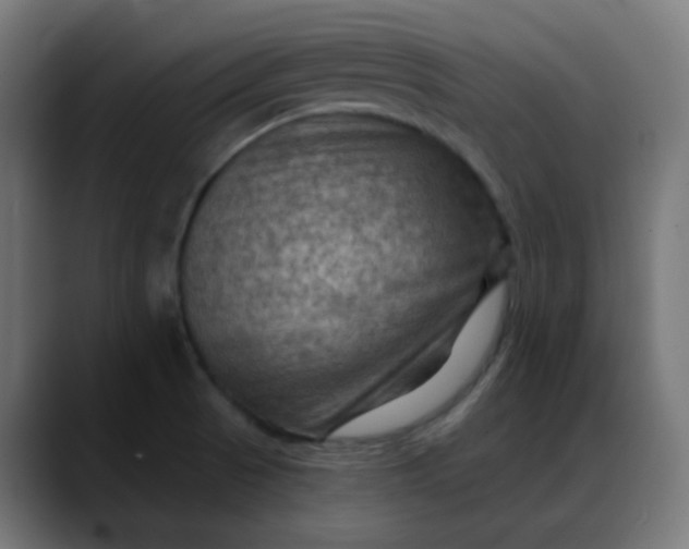 X0000088061521200705251332