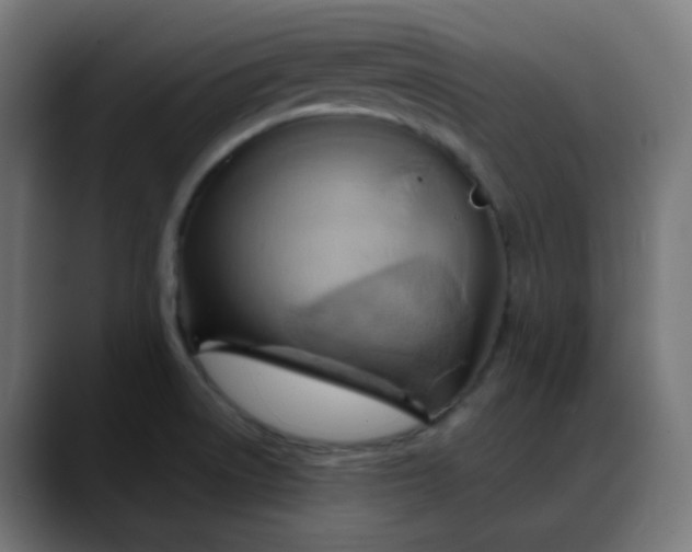 X0000088061522200705251332
