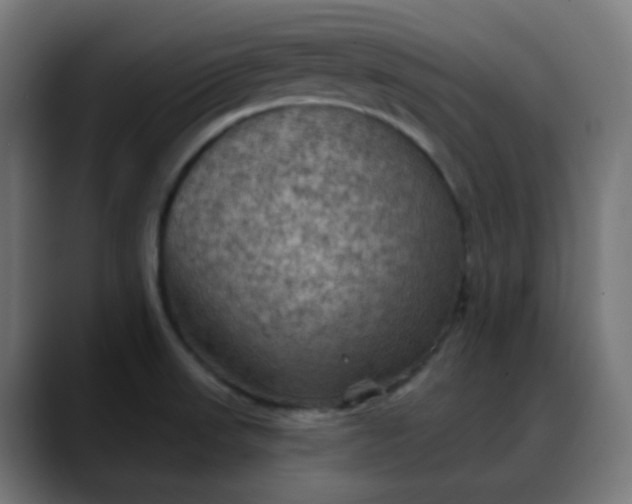 X0000088061523200705251332