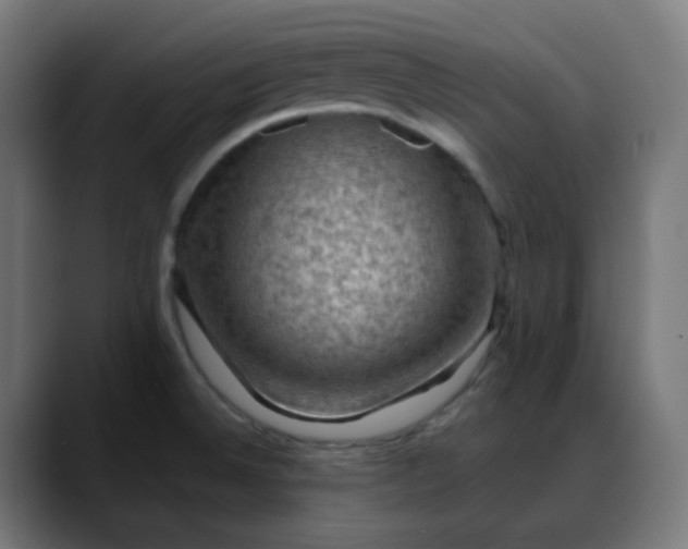 X0000088061524200705251332