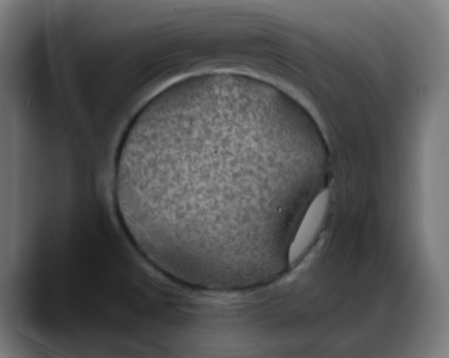 X0000088061525200705251332