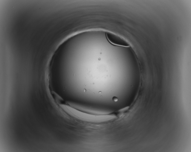 X0000088061526200705251332