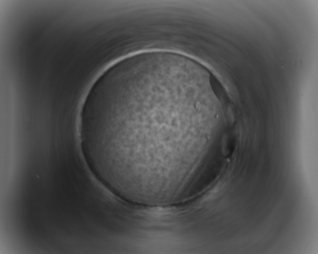 X0000088061527200705251332