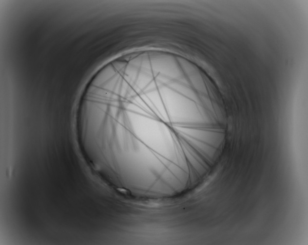 X0000088061530200705251332