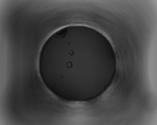 X0000088061533200705251332