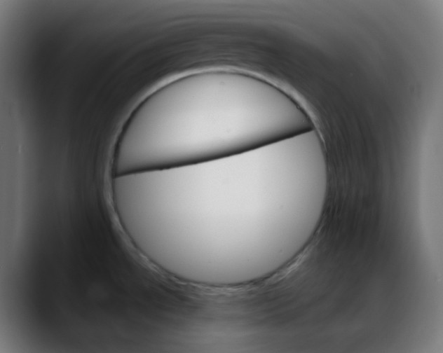 X0000088061534200705251332