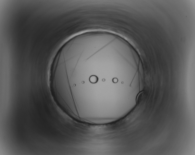 X0000088061535200705251332
