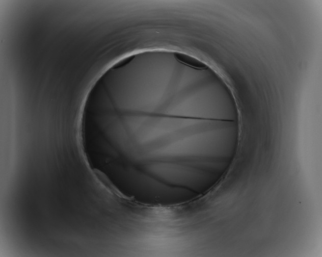 X0000088061536200705251332
