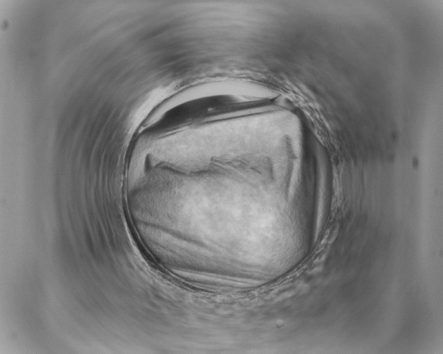 X0000088060003200706011500