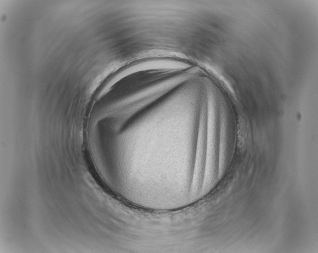 X0000088060015200706011500