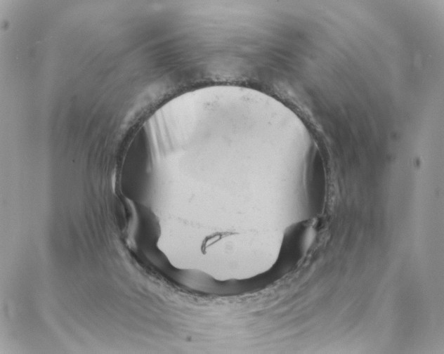 X0000088060019200706011500