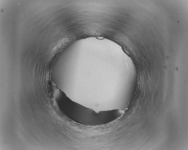 X0000088060023200706011500