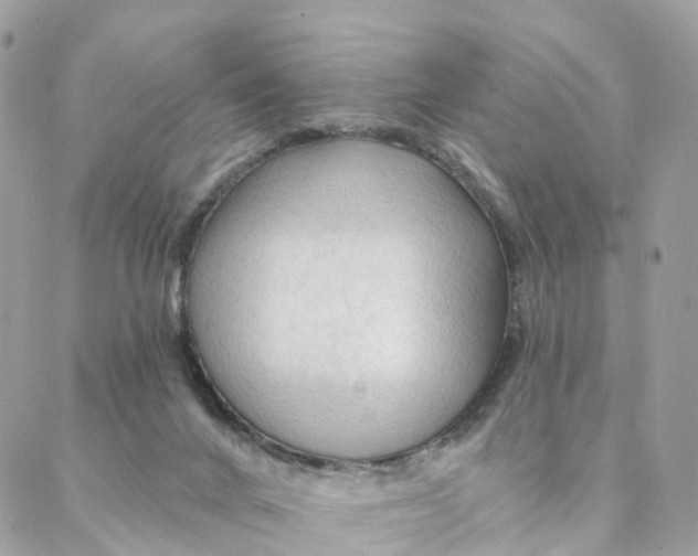 X0000088060024200706011500