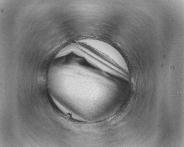 X0000088060040200706011459