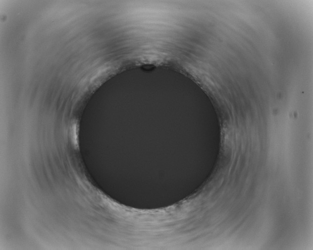 X0000088060042200706011459