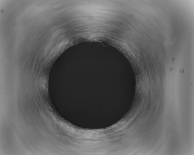 X0000088060044200706011459
