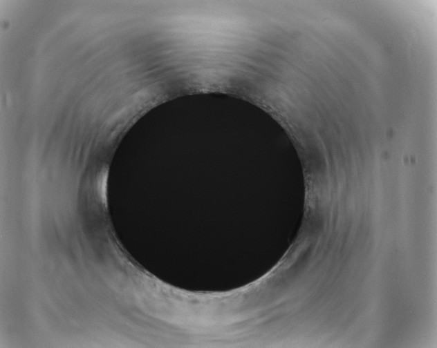 X0000088060047200706011459