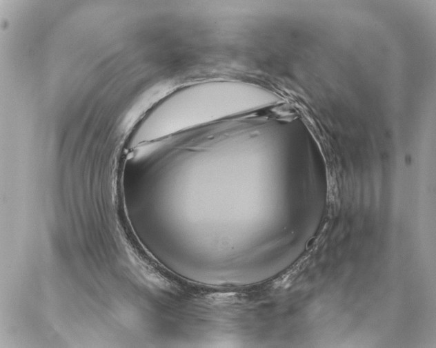 X0000088060054200706011459