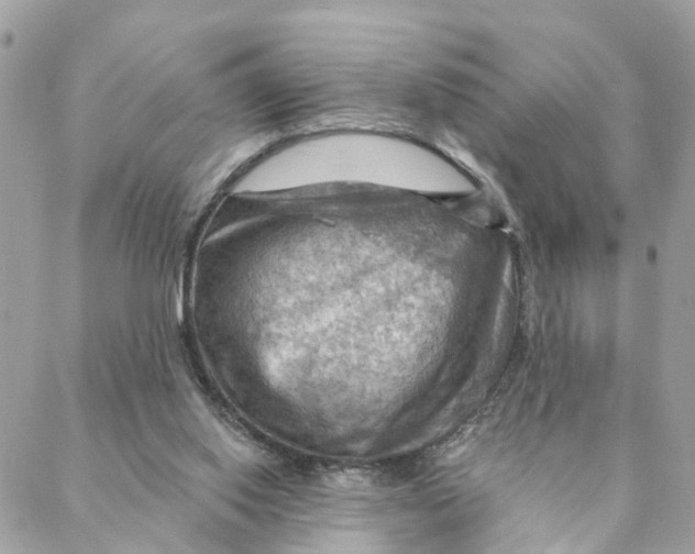 X0000088060062200706011459