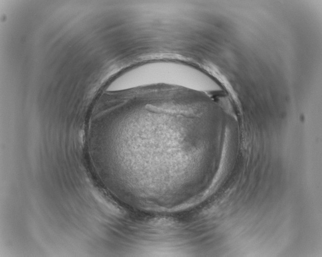 X0000088060063200706011459