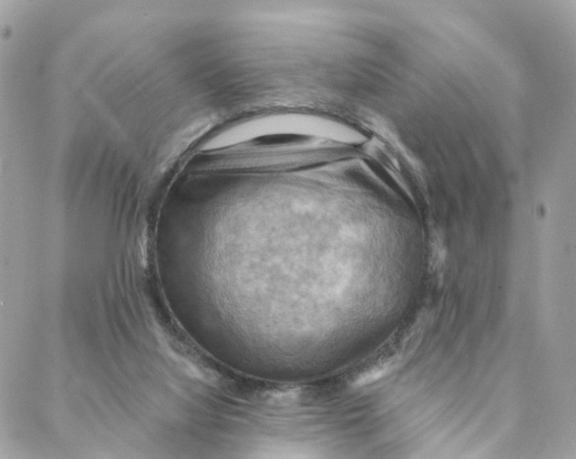 X0000088060068200706011459