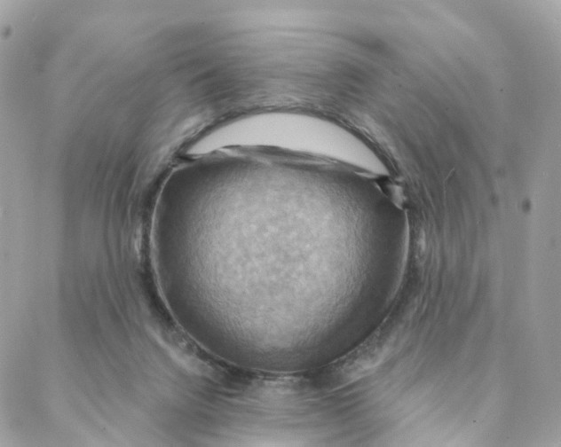 X0000088060072200706011459
