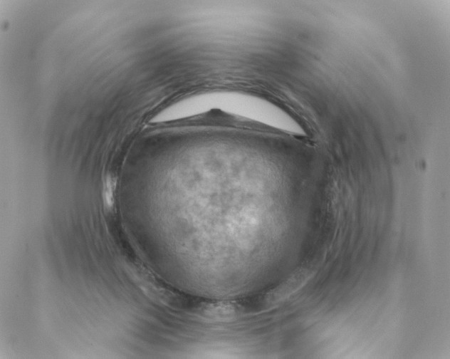 X0000088060075200706011459