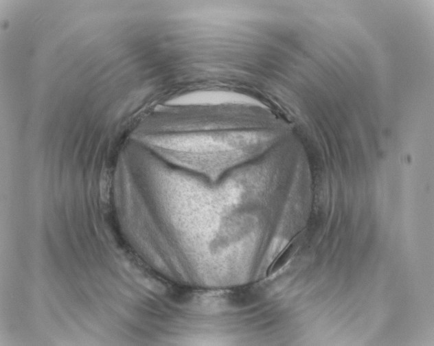 X0000088060078200706011459