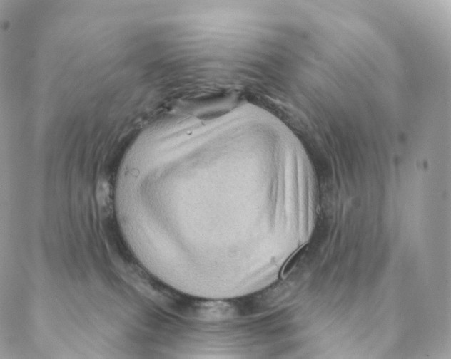 X0000088060087200706011459