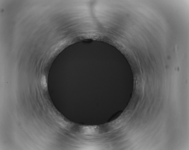 X0000088060089200706011459