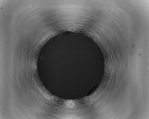 X0000088060091200706011459