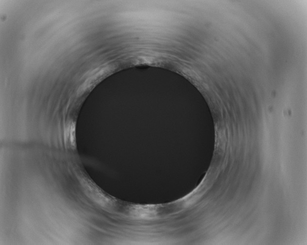 X0000088060094200706011459