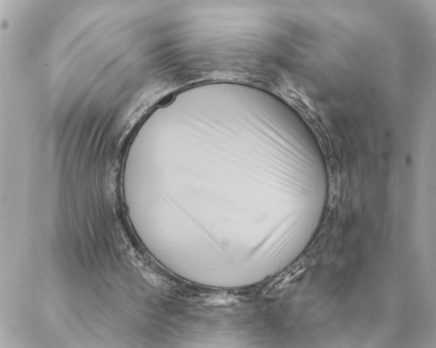 X0000088060098200706011459