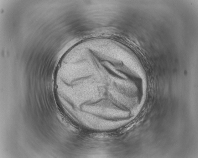X0000088060100200706011458