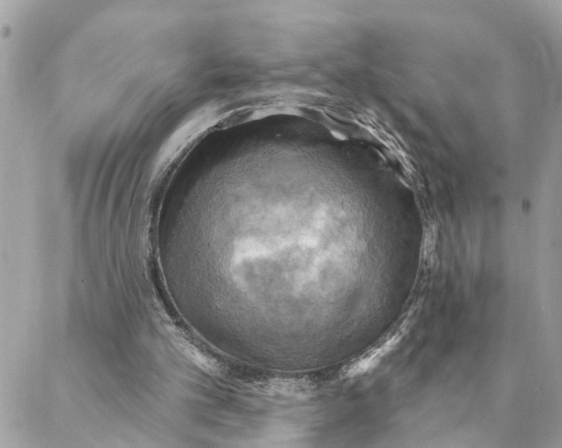 X0000088060101200706011458