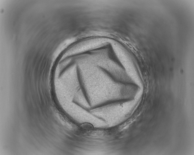 X0000088060104200706011458