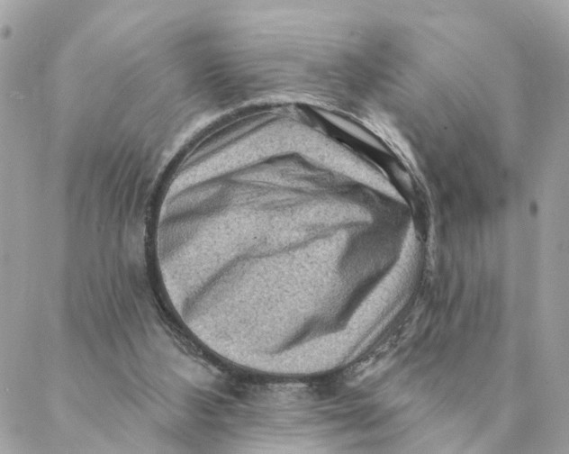 X0000088060108200706011458