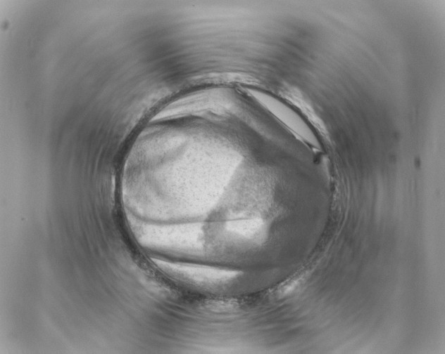 X0000088060110200706011458