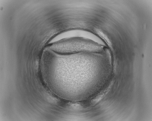X0000088060113200706011458