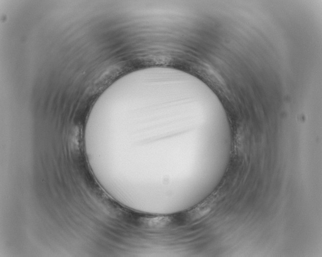 X0000088060122200706011458