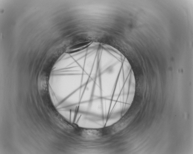 X0000088060137200706011458