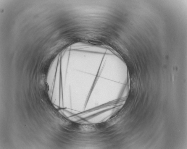 X0000088060141200706011458