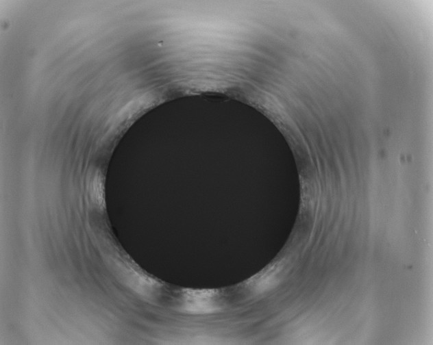 X0000088060143200706011458