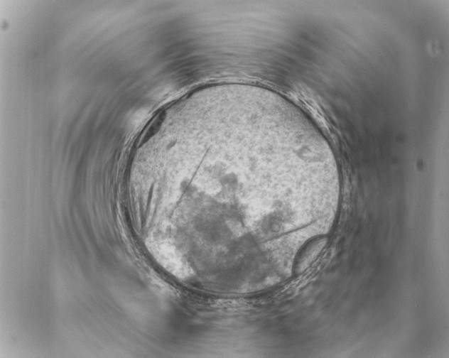 X0000088060145200706011457